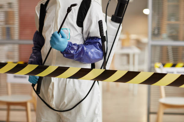 Professional Sewage Cleanup technician working in Sebastian, TX